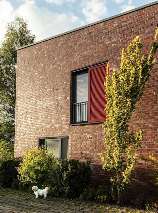 Schickes Wohnstudio Mit Garten Am Aasee Ibbenbüren Εξωτερικό φωτογραφία